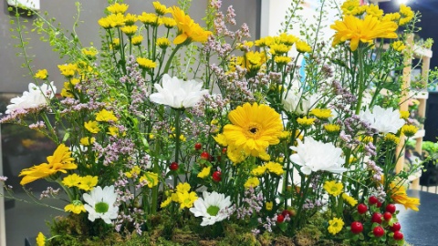 Blumenwiese von Silvana Malito Blumenwiese von Silvana Malito